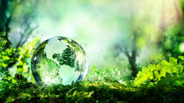 Nachhaltigkeit | © Shutterstock