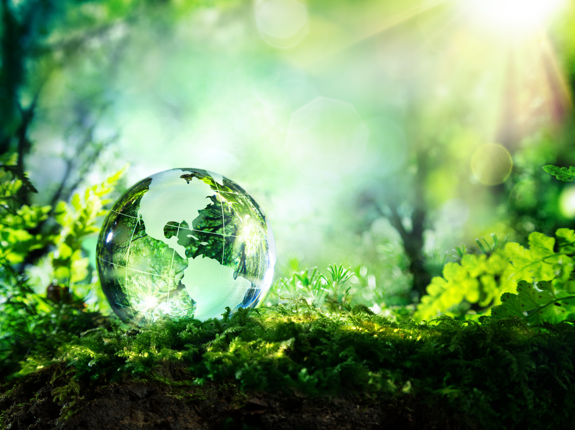 Nachhaltigkeit | © Shutterstock